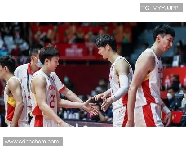 体育实时数据西安篮球队意识对比深度解析与战术发展趋势探讨