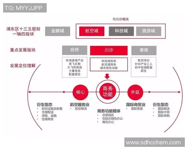 今年运动数据重磅专题V5如何实现整体压制革新与战术突破的深度解析